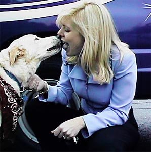 Desperate for HFStival tickets?